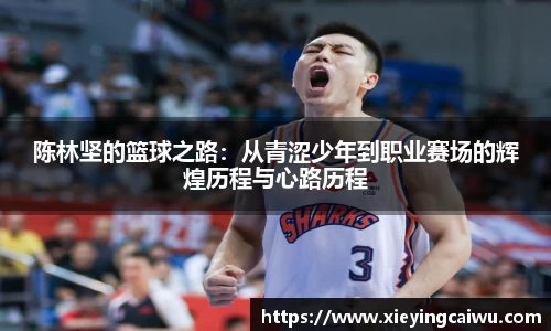 陈林坚的篮球之路：从青涩少年到职业赛场的辉煌历程与心路历程