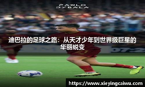 bsports必一登录入口