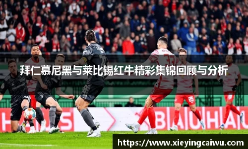 bsports必一体育