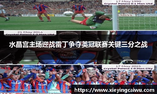水晶宫主场迎战雷丁争夺英冠联赛关键三分之战