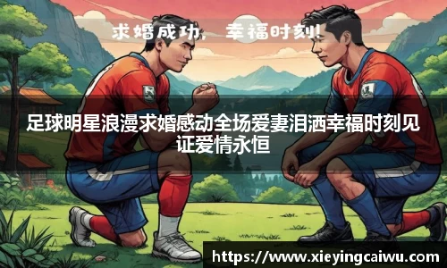 bsports必一体育