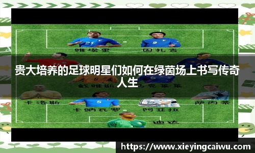 贵大培养的足球明星们如何在绿茵场上书写传奇人生