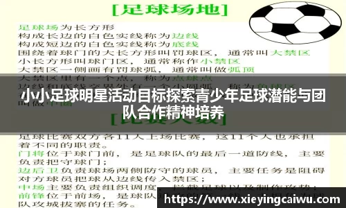 小小足球明星活动目标探索青少年足球潜能与团队合作精神培养