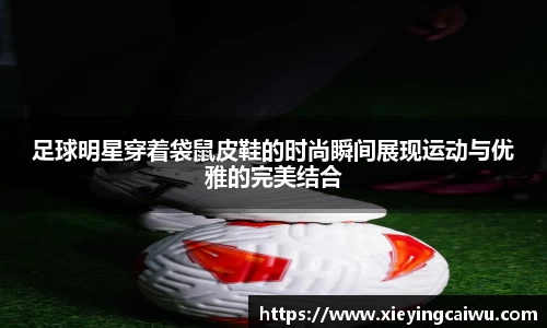 bsports必一体育